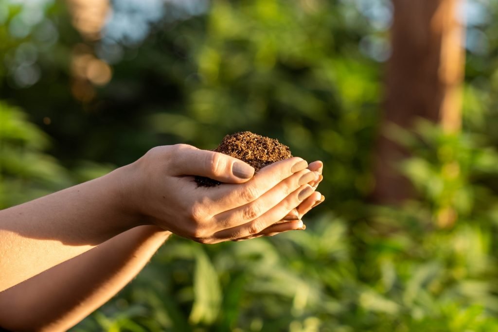 hands holding soil in garden