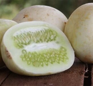 Crystal Apple Cucumber Seeds