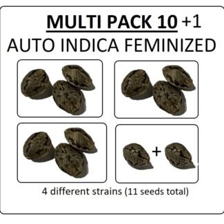 Multi Pack 10 AUTO Indica Feminized Seeds
