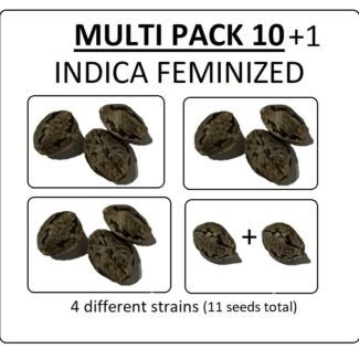 Multi Pack 10 Indica Feminized Seeds
