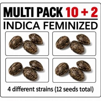 Indica Multi 10 seed pack marijuana seeds CG Australia