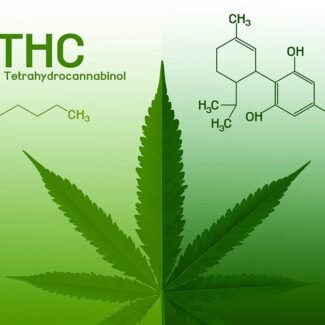 Highest THC