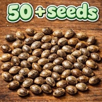 Bulk Feminized Seeds