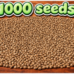 1000 Seeds