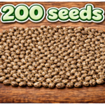 200 Seeds