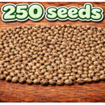 250 Seeds