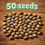 50 Seeds