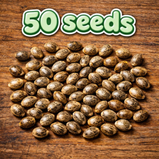 Bulk Seeds
