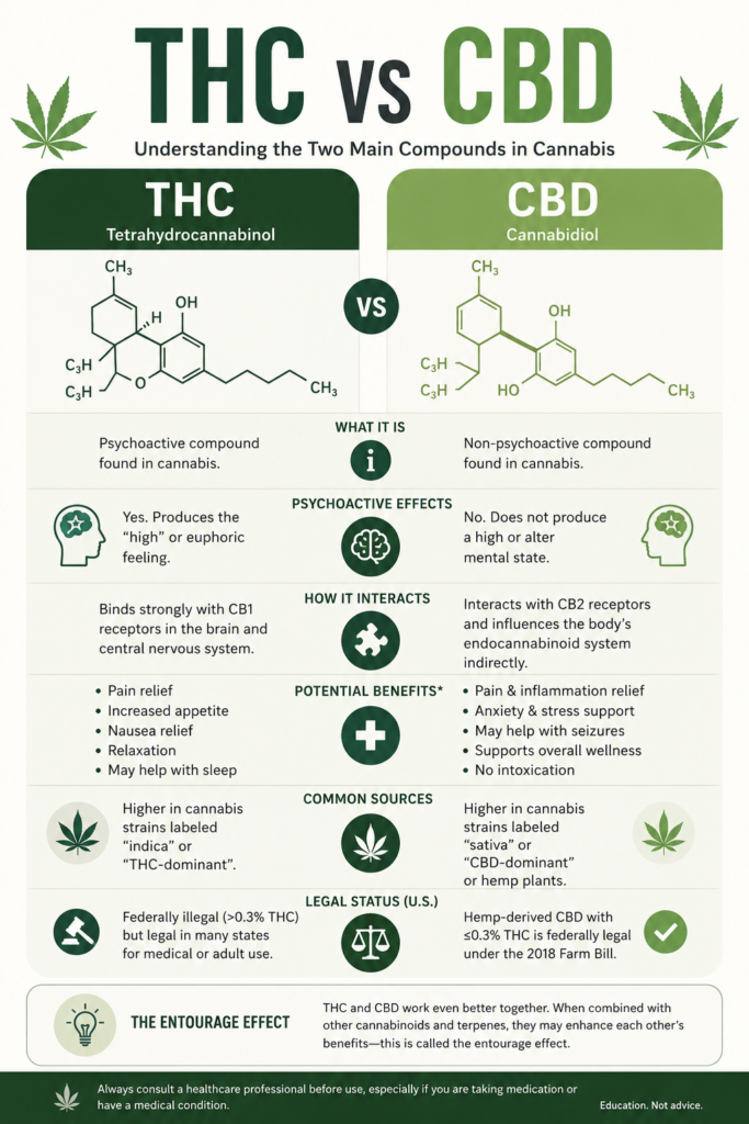 THC vs CBD in cannabis strains what is the difference guide