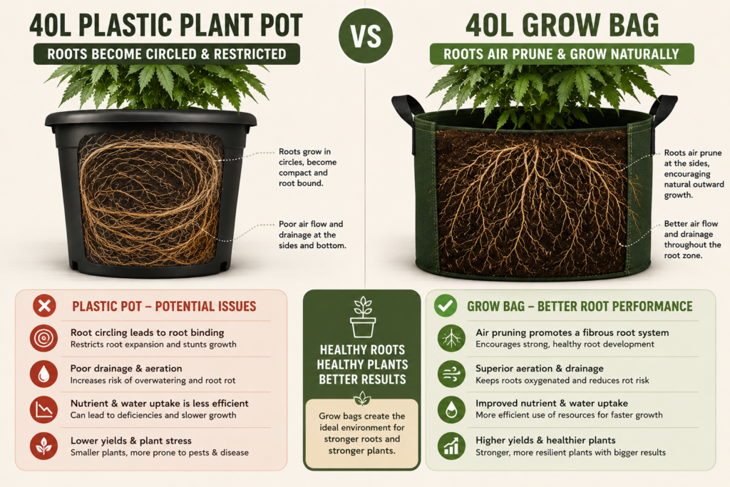 container vs grow bag analysis