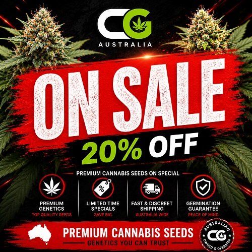Cannabis Seeds on sale 20% off CG Australia